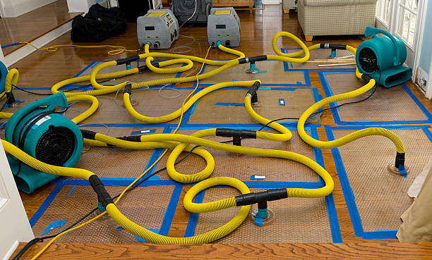 Professional Burst Pipe Water Damage technician working in Lawton, IA